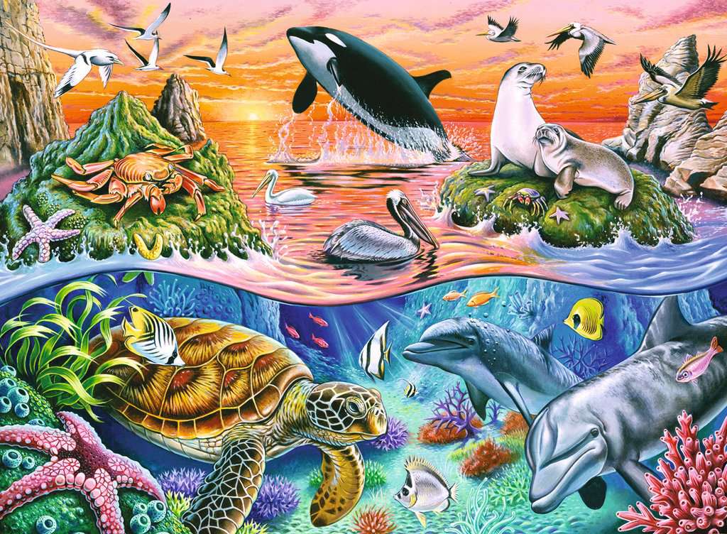 Puzzle 100: L'océan coloré CASSE-TÊTE - 100 - 150 morceaux