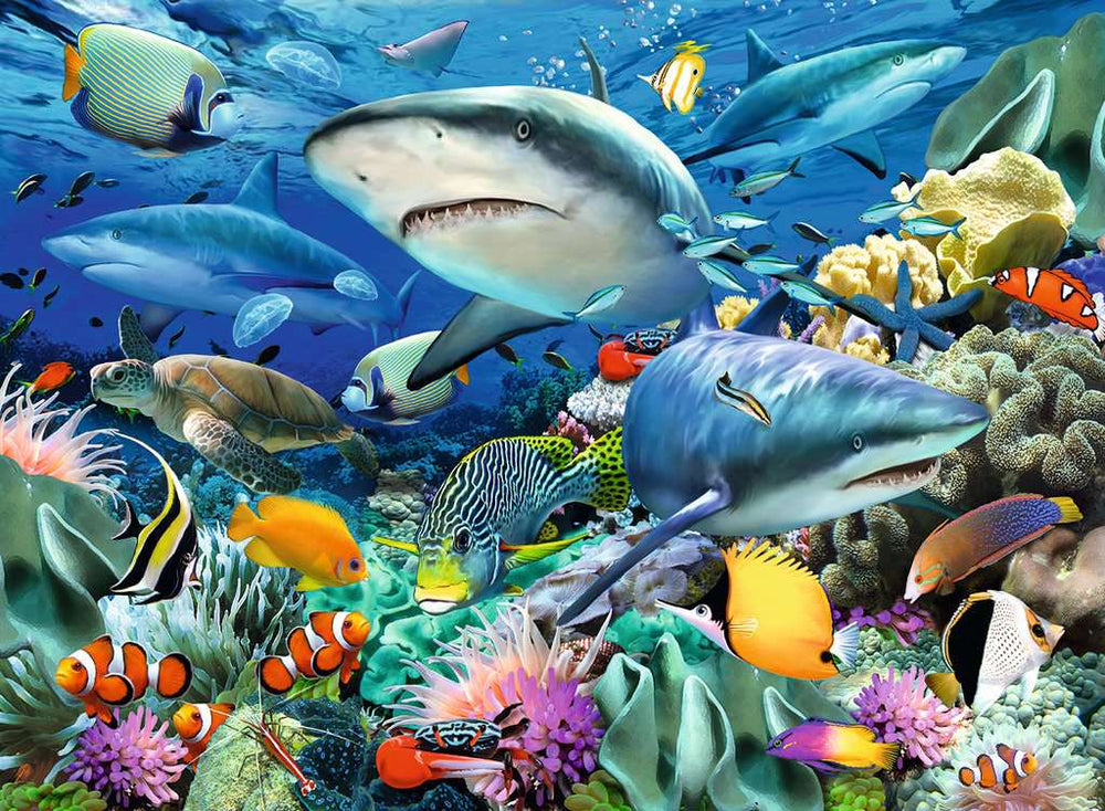 Puzzle 100 XL: Shark Reef CASSE-TÊTE - 100 - 150 morceaux