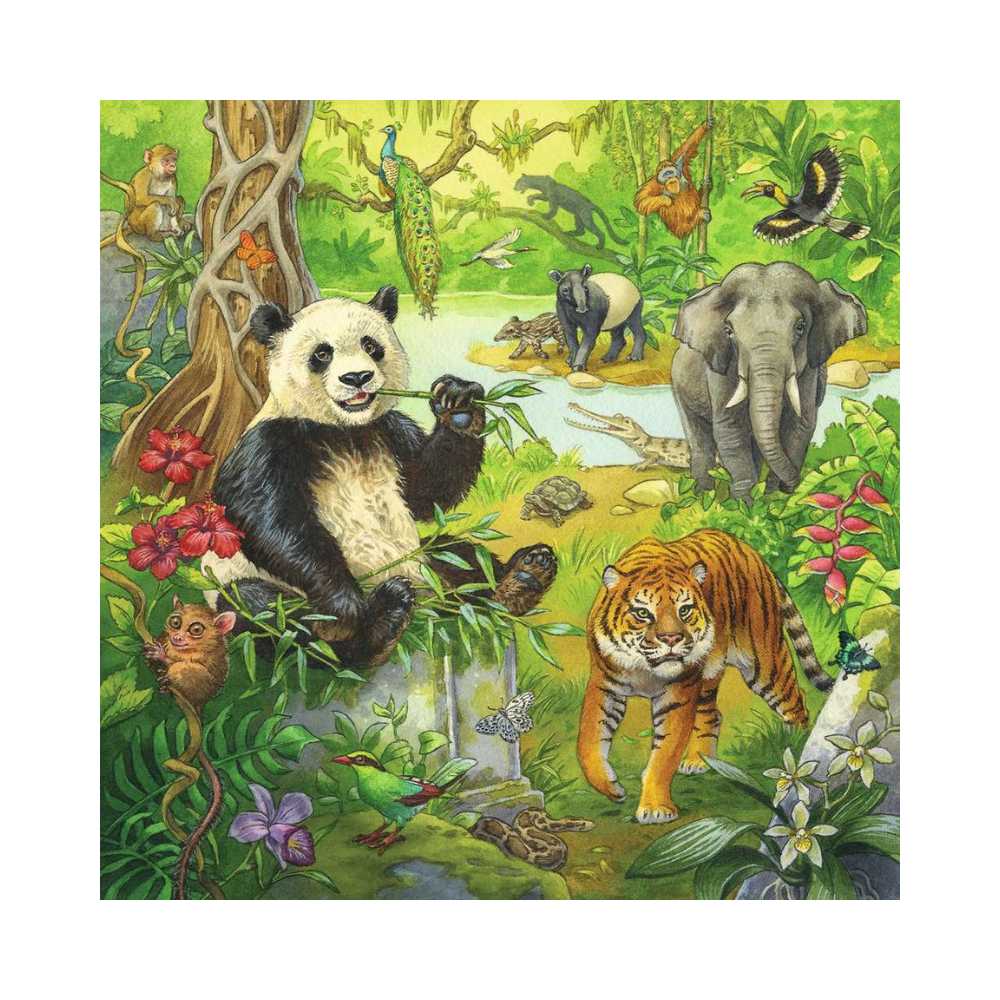 Puzzle 3x49: Jungle Fun CASSE-TÊTE - 100 - 150 morceaux