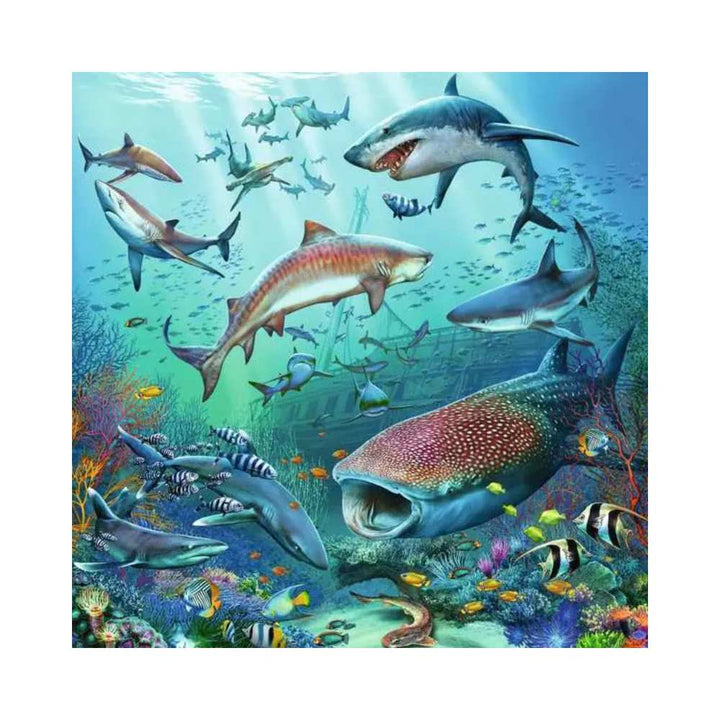 Puzzle 3x49: Ocean Life CASSE-TÊTE - 100 - 150 morceaux