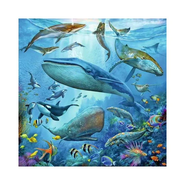 Puzzle 3x49: Ocean Life CASSE-TÊTE - 100 - 150 morceaux