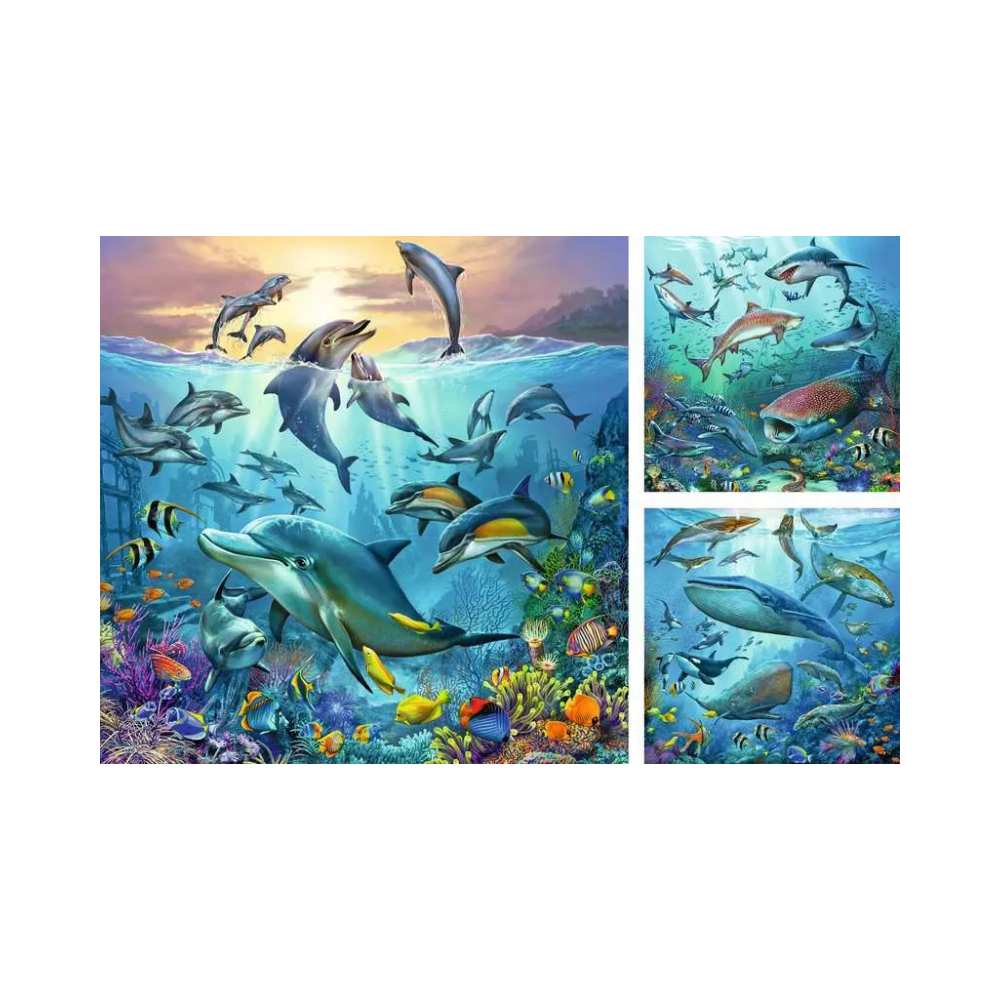 Puzzle 3x49: Ocean Life CASSE-TÊTE - 100 - 150 morceaux