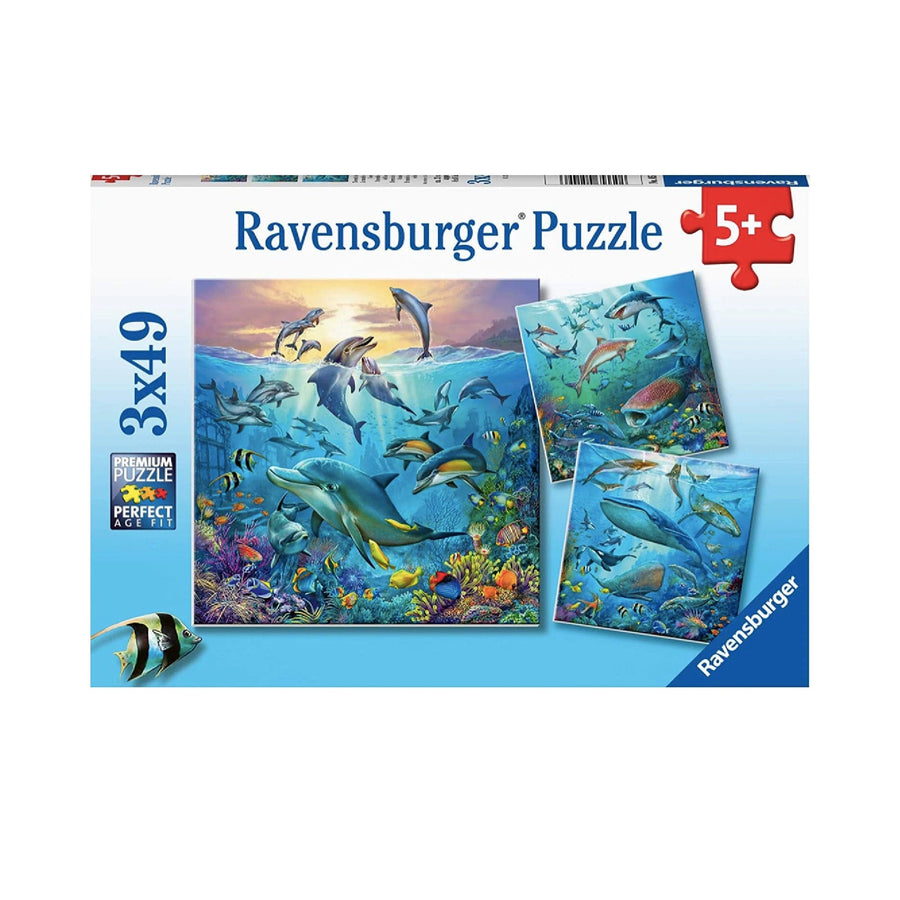 Puzzle 3x49: Ocean Life CASSE-TÊTE - 100 - 150 morceaux