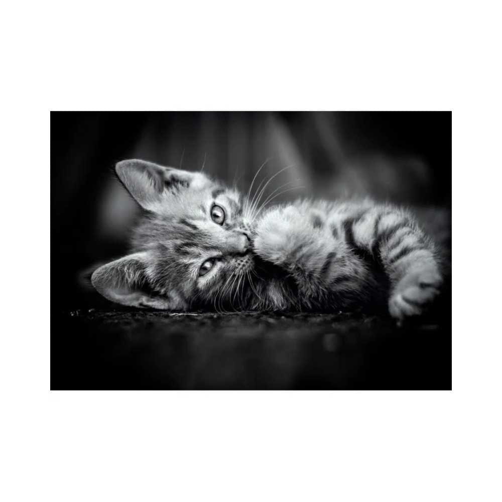 Chaton (1000 pcs) CASSE-TÊTE - 1000 morceaux