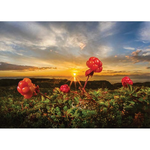 Cloudbeeries, AvH (Puzzle 1000 pcs) CASSE-TÊTE - 1000 morceaux