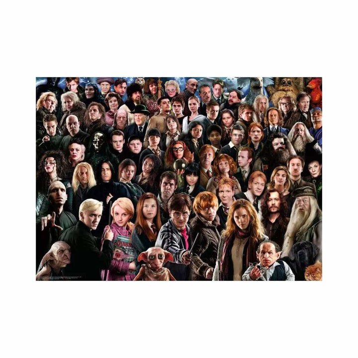 Harry Potter - Challenge (1000 pcs) CASSE-TÊTE - 1000 morceaux