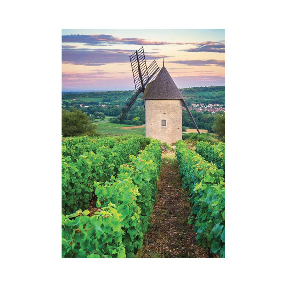 Moulin Sorine, vignoble Santenay (1000 pcs) CASSE-TÊTE - 1000 morceaux
