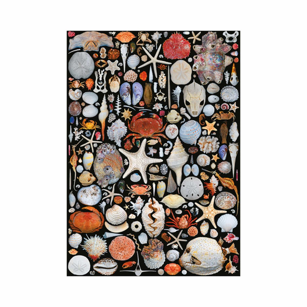 Objets de plage (1000 pcs) CASSE-TÊTE - 1000 morceaux