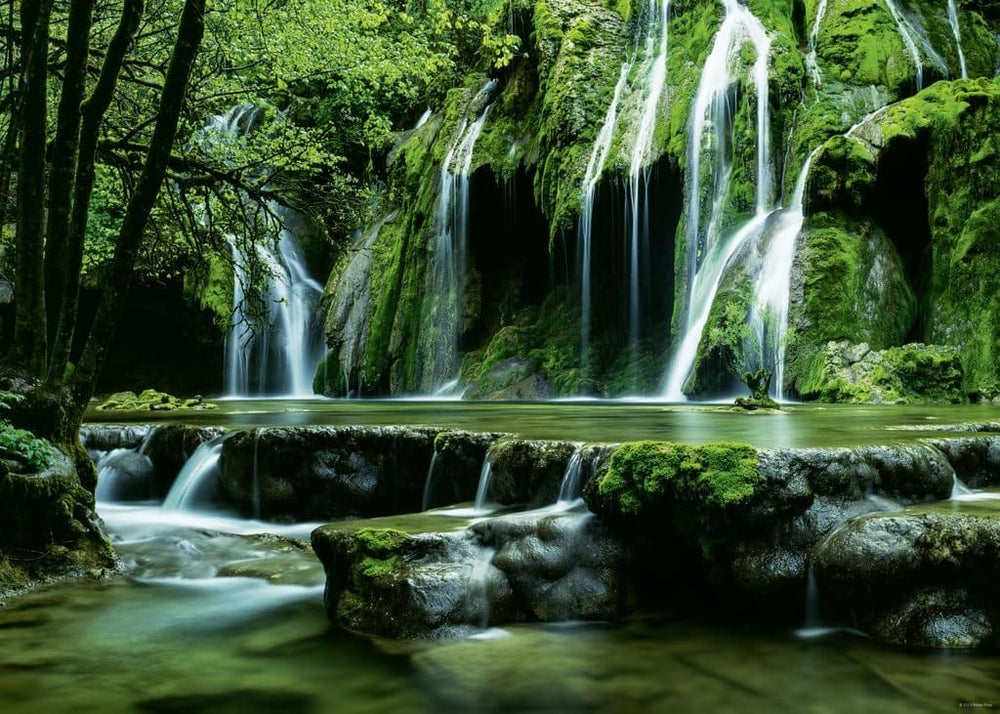 Puzzle 1000: Cascades, Magic Forests CASSE-TÊTE - 1000 morceaux