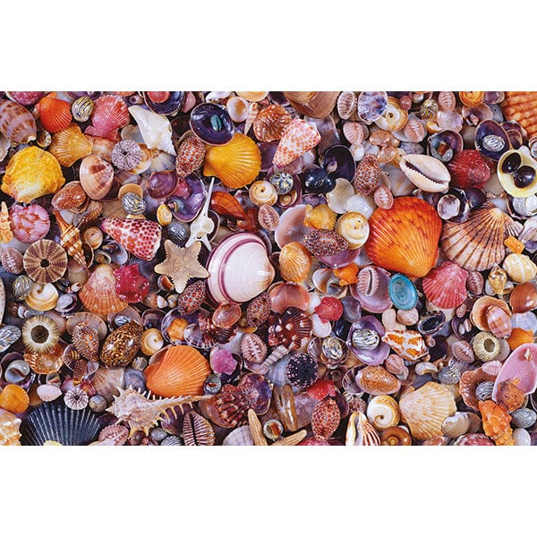 Puzzle 1000: Coquillages CASSE-TÊTE - 1000 morceaux