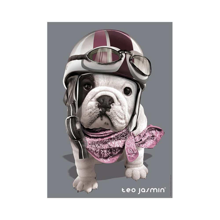 Téo Racing, Teo Jasmin (Puzzle 1000 pcs) CASSE-TÊTE - 1000 morceaux