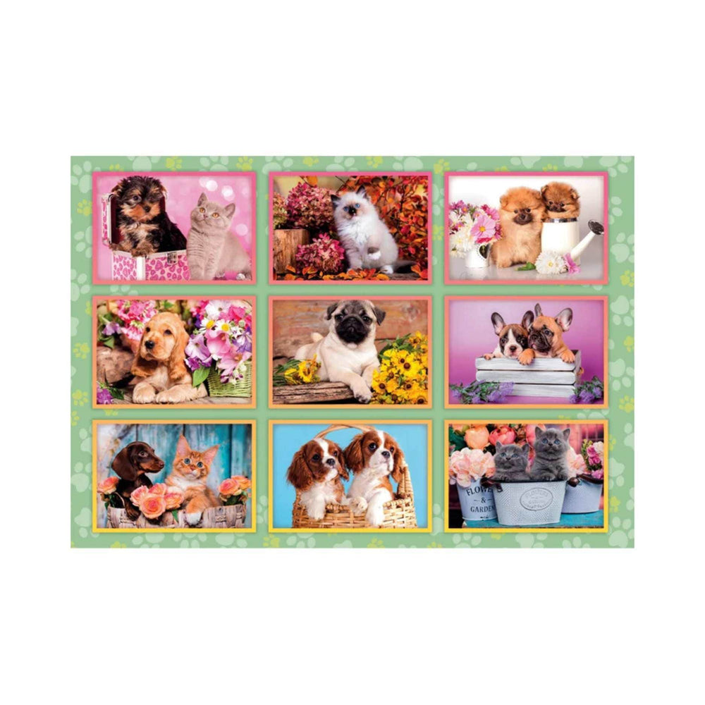 Collage de chiots (180 pcs) CASSE-TÊTE - 200 - 275 morceaux