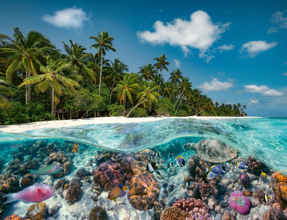 A Dive in the Maldives (2000 pcs) CASSE-TÊTE - 2000 morceaux
