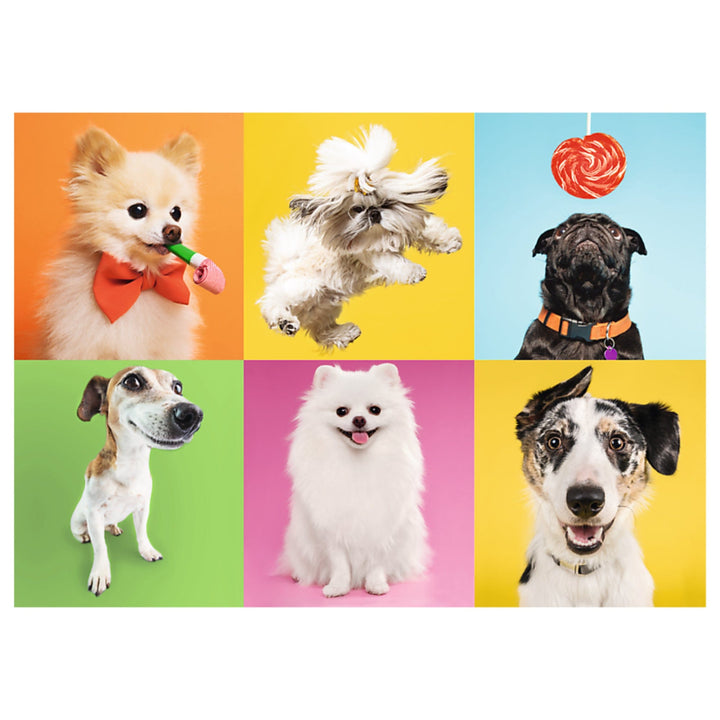 Chiens (500 pcs) CASSE-TÊTE - 400 - 550 morceaux