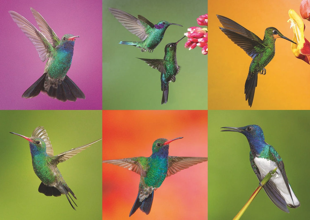 Dubuc - Colibris en folie (500 pcs) CASSE-TÊTE - 400 - 550 morceaux
