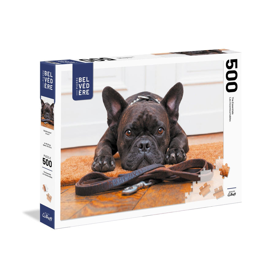 On sort? (500 pcs) CASSE-TÊTE - 400 - 550 morceaux