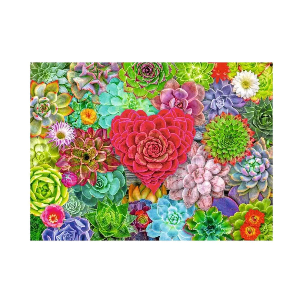 Succulent Love (500 pcs) CASSE-TÊTE - 400 - 550 morceaux
