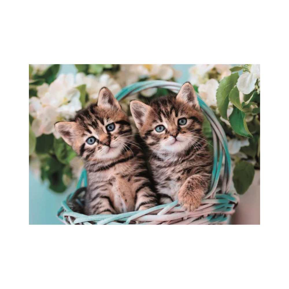 Adorables chatons (60 pcs) CASSE-TÊTE - 50 - 99 morceaux
