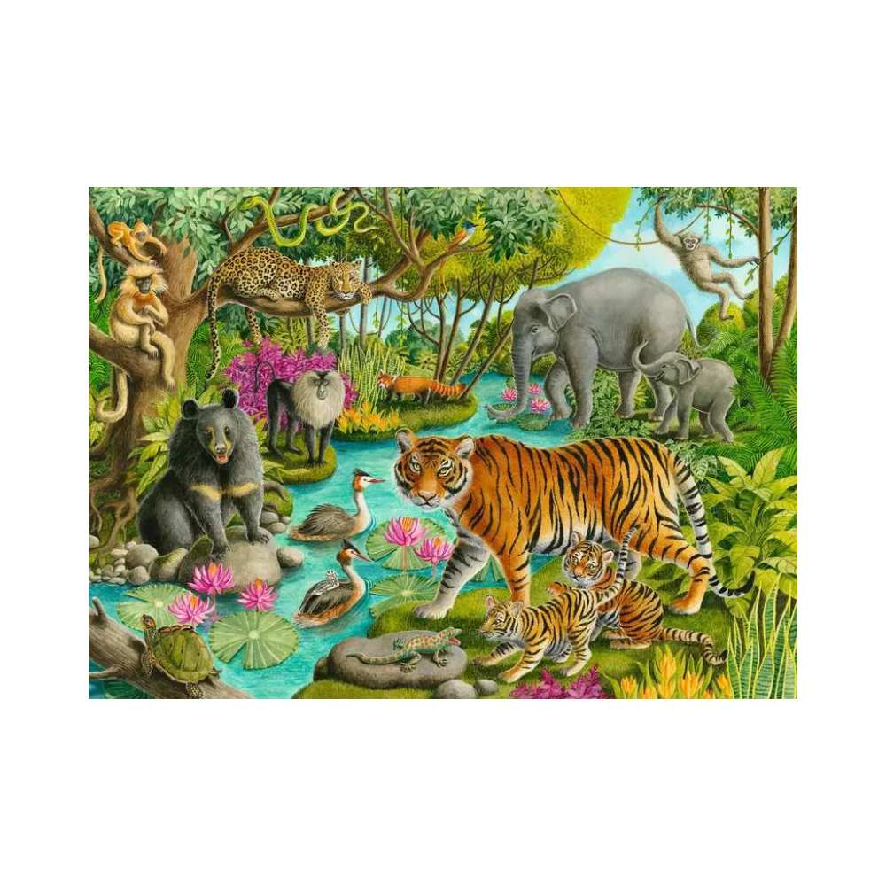Puzzle 60: Animals of India CASSE-TÊTE - 50 - 99 morceaux