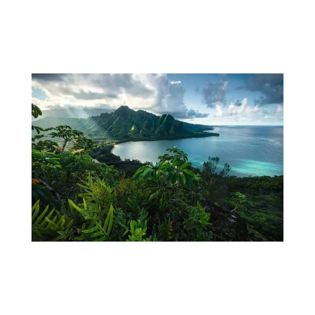 Hawaiian Viewpoint (5000 pcs) CASSE-TÊTE - 5000 morceaux
