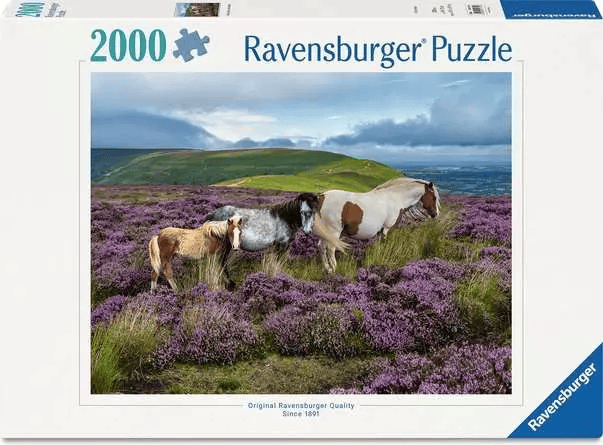 Casse-tête, Wild Horses in the Heather (2000 pcs) CASSE-TÊTE - 2000 morceaux