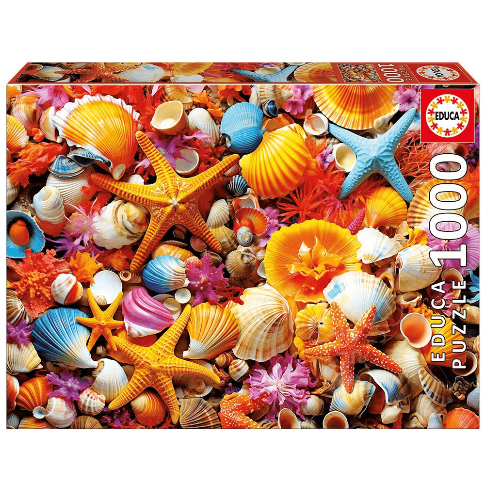 Collage de coquillages (1000 pcs) CASSE-TÊTE - 1000 morceaux