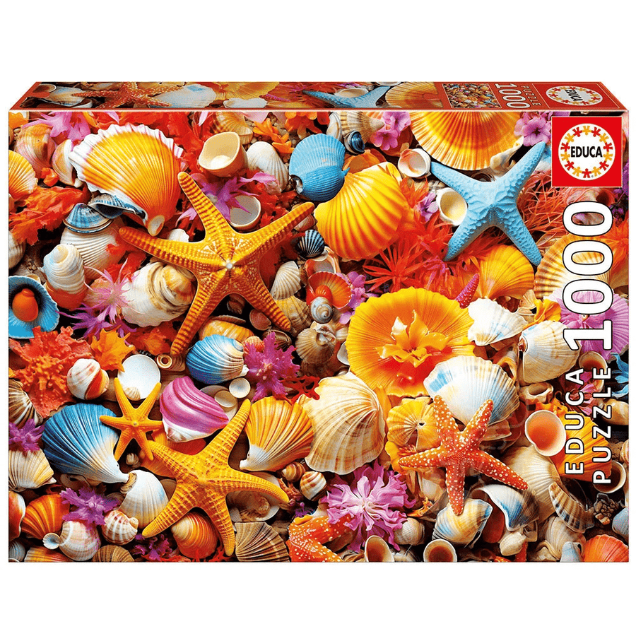 Collage de coquillages (1000 pcs) CASSE-TÊTE - 1000 morceaux