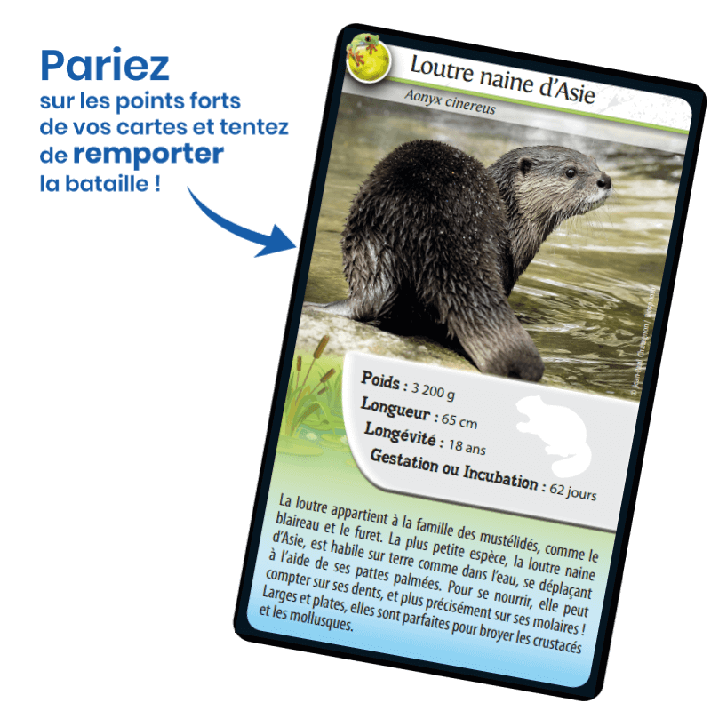 Défis Nature / Animaux d'eau douce (FR) JEUX - Éducatif