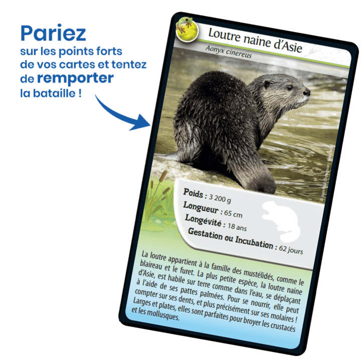Défis Nature / Animaux d'eau douce (FR) JEUX - Éducatif