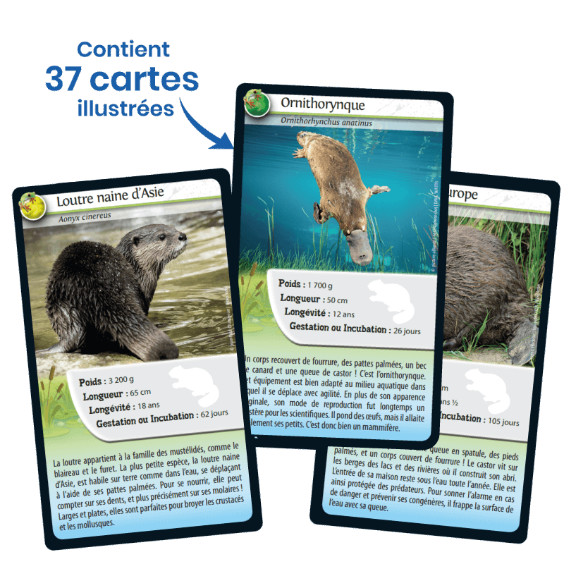 Défis Nature / Animaux d'eau douce (FR) JEUX - Éducatif