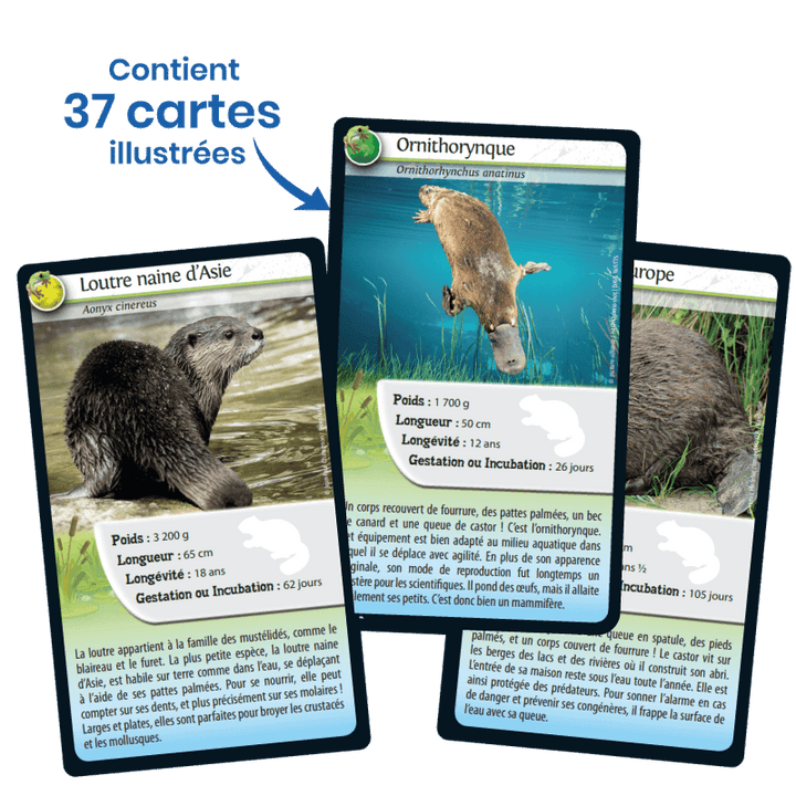 Défis Nature / Animaux d'eau douce (FR) JEUX - Éducatif