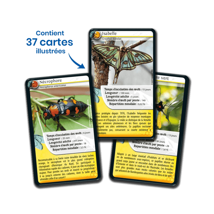 Défis Nature / Insectes (FR) JEUX - Éducatif