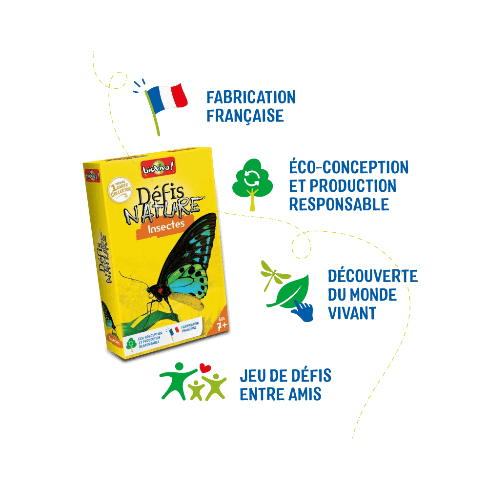 Défis Nature / Insectes (FR) JEUX - Éducatif