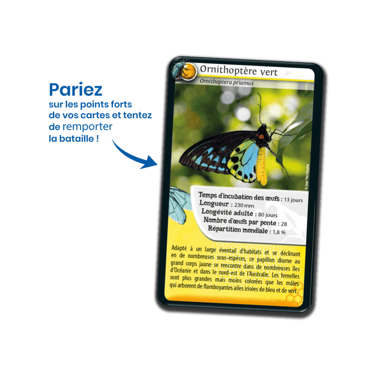 Défis Nature / Insectes (FR) JEUX - Éducatif