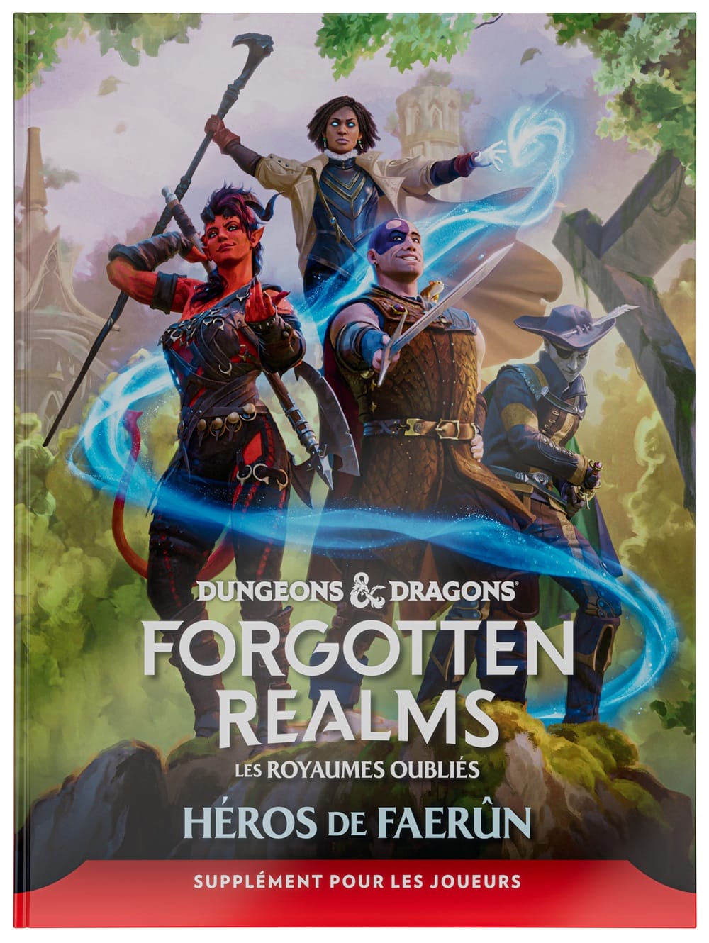 DND RPG - Les royaumes oubliés: Héros de Faerûn (FR) JEUX - Dés et jeux de rôles - Livres