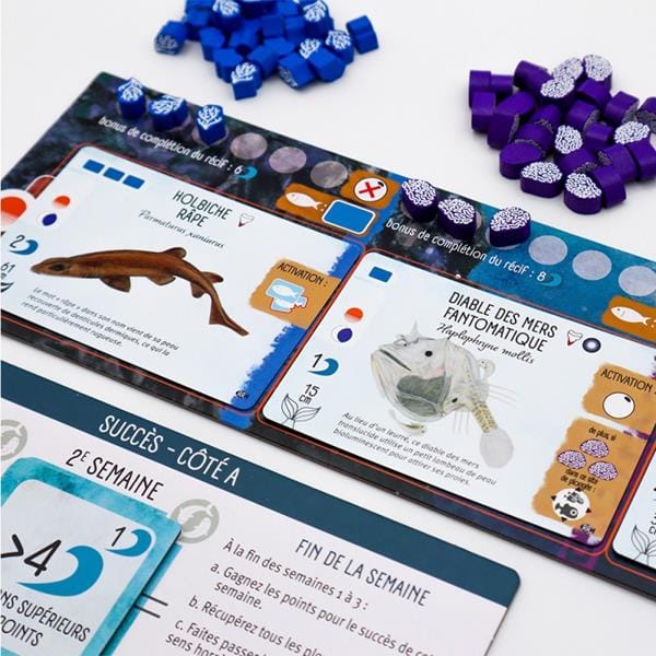 Finspan - ext. Requins et Récifs (FR) JEUX - Famille