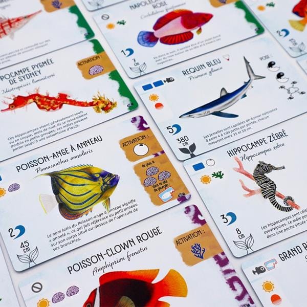 Finspan - ext. Requins et Récifs (FR) JEUX - Famille