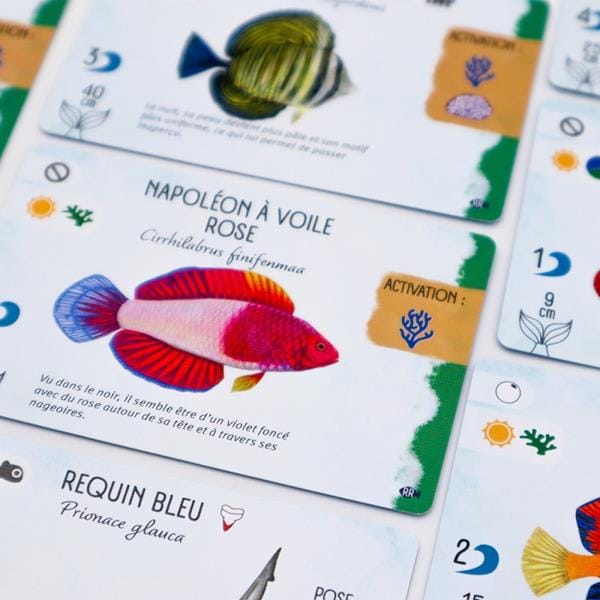 Finspan - ext. Requins et Récifs (FR) JEUX - Famille