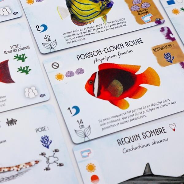 Finspan - ext. Requins et Récifs (FR) JEUX - Famille