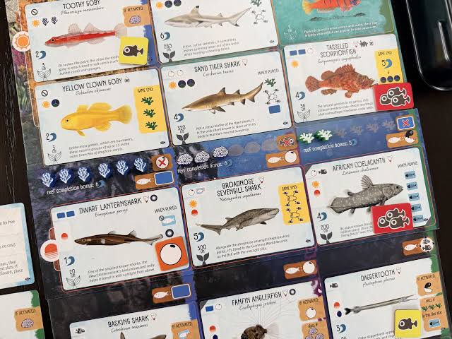 Finspan Sharks and Reefs (EN) JEUX - Stratégie - Stratégie intermédiaire