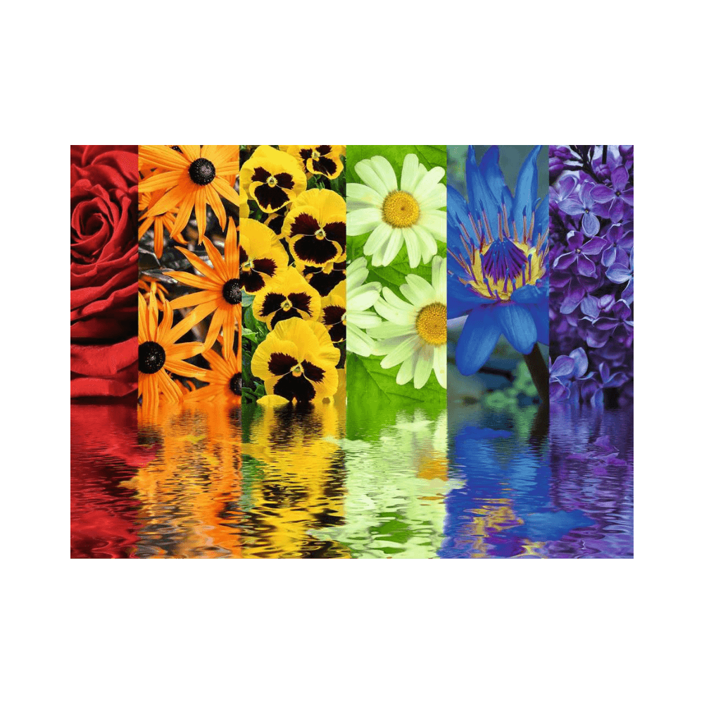 Floral Reflections (500 pc) CASSE-TÊTE - 400 - 550 morceaux