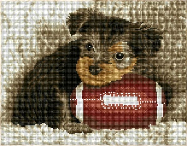 Footy Chiot 49x40 Diamond Dotz PASSE-TEMPS - Broderie diamant