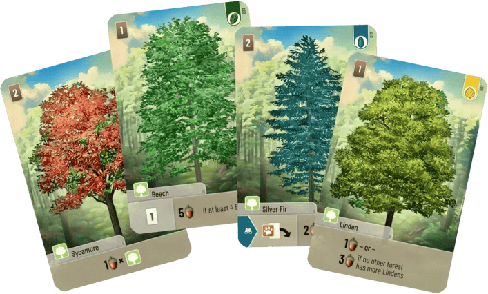 Forest Shuffle (EN) JEUX - Stratégie - Stratégie léger