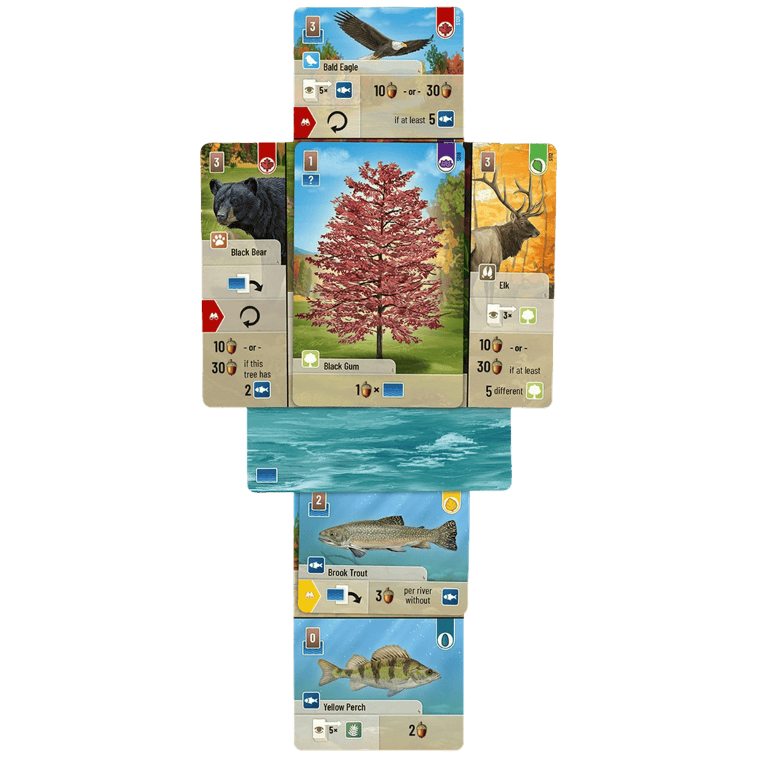 Forest Shuffle - Smoky Mountains (EN) JEUX - Famille