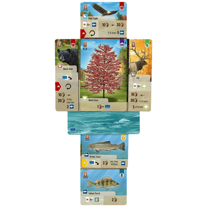 Forest Shuffle - Smoky Mountains (EN) JEUX - Famille