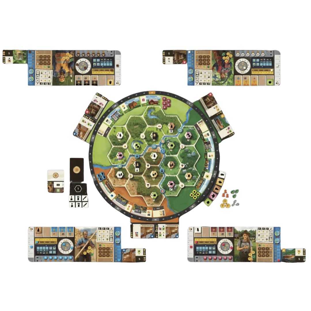 Forestry (EN) JEUX - Stratégie - Stratégie intermédiaire