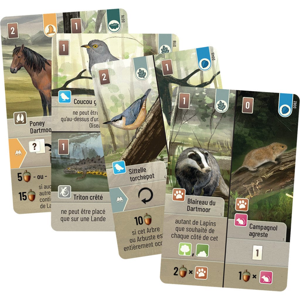 Forêt Mixte - Dartmoor (FR) JEUX - Stratégie - Stratégie intermédiaire