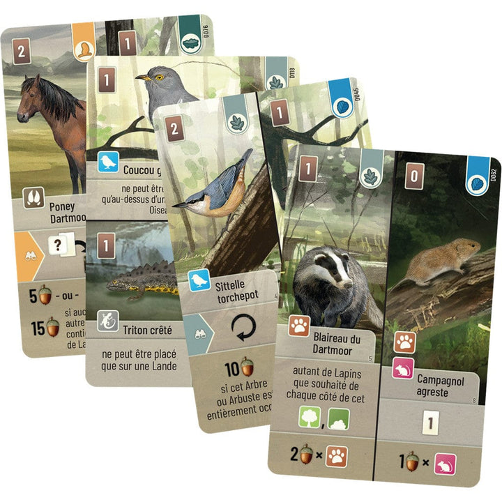 Forêt Mixte - Dartmoor (FR) JEUX - Stratégie - Stratégie intermédiaire