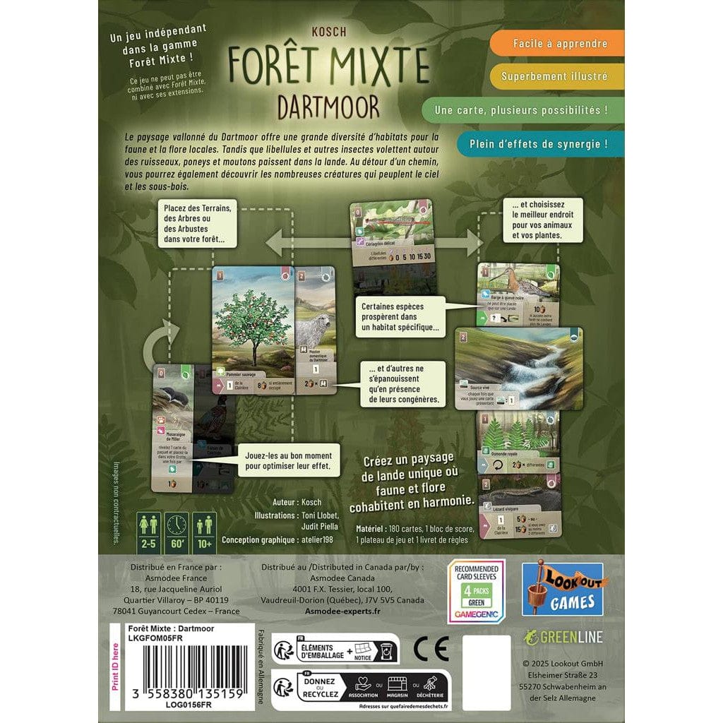 Forêt Mixte - Dartmoor (FR) JEUX - Stratégie - Stratégie intermédiaire