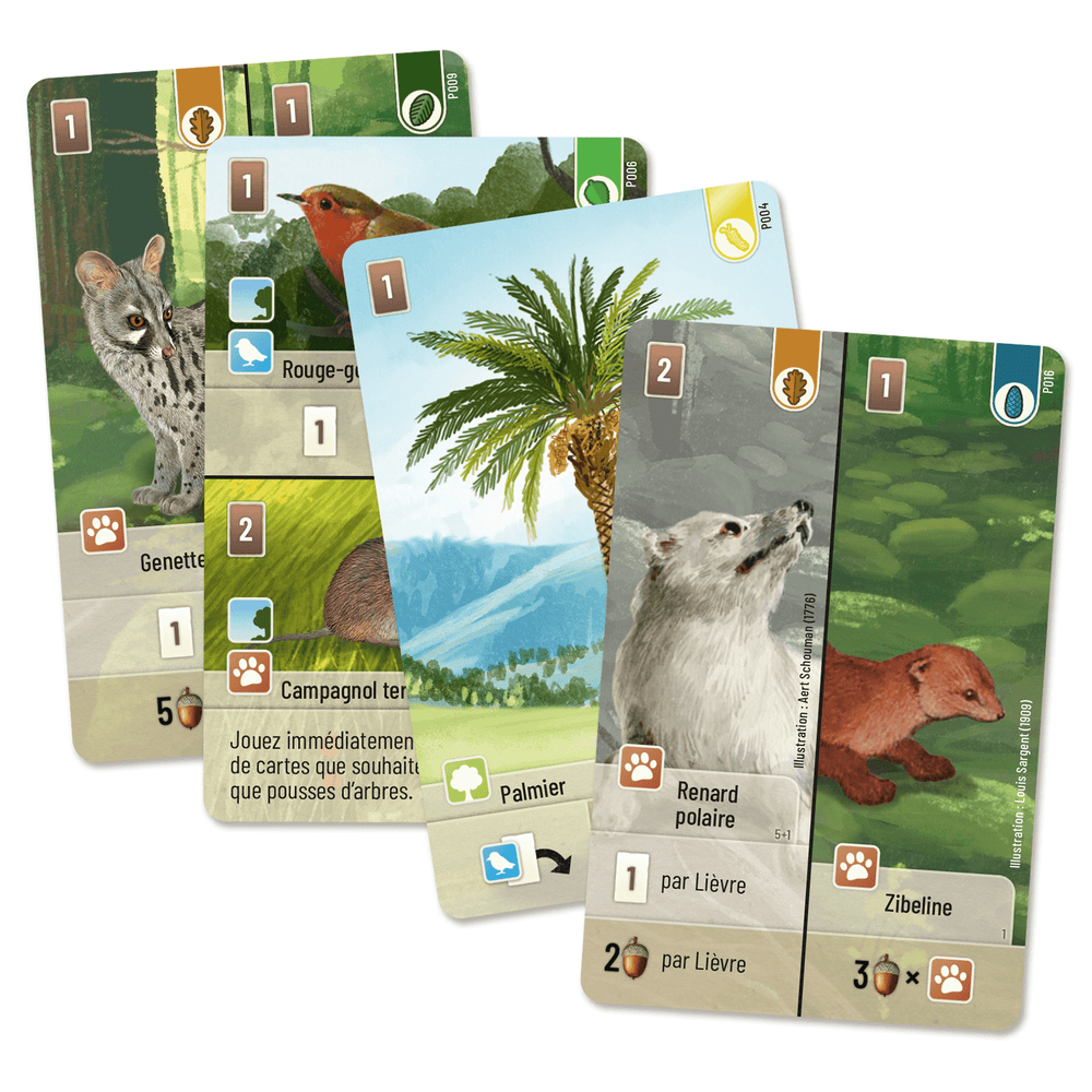 Forêt mixte: Exploration (FR) JEUX - Famille